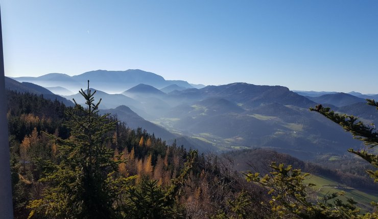 O Outuno de Ouro O Outuno de Ouro