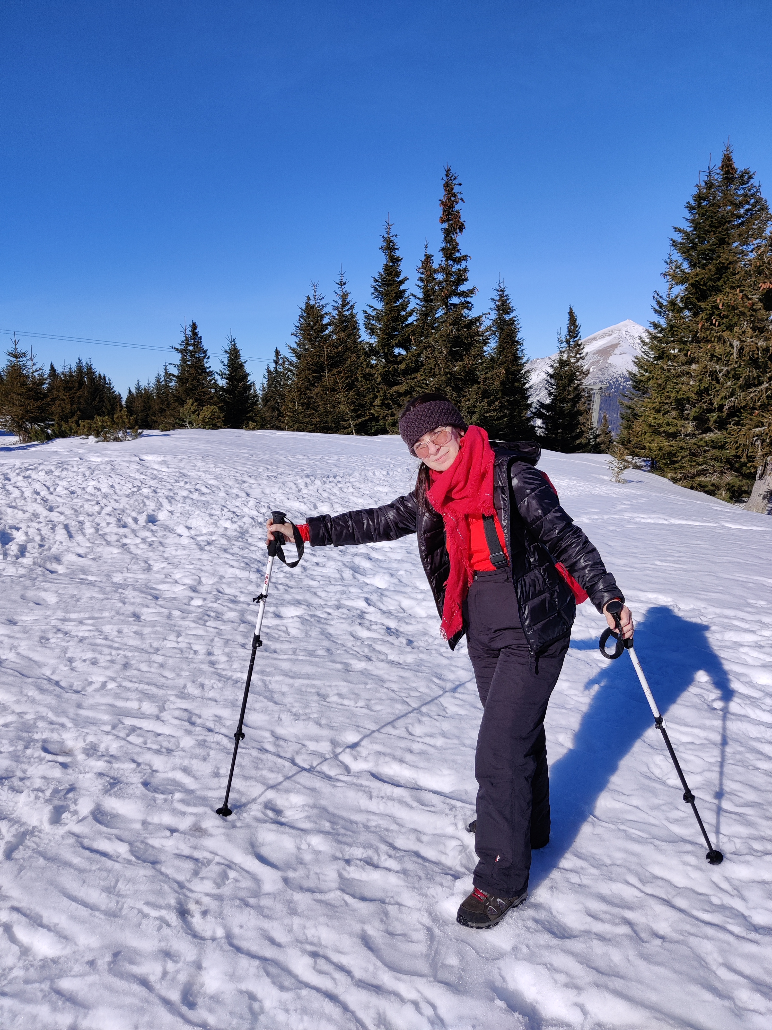 DricaRibas na neve