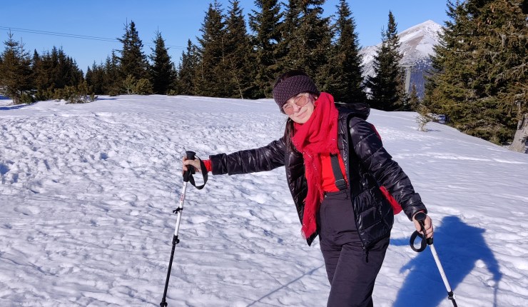 Manual do Inverno na Europa