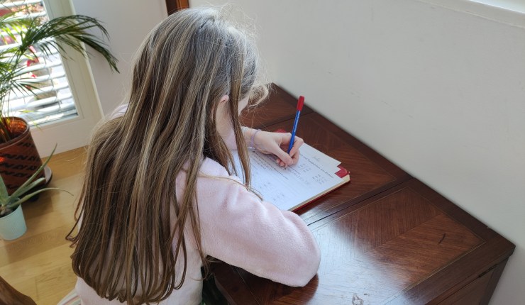 Ler e Escrever: ensino primário na&nbsp;Áustria