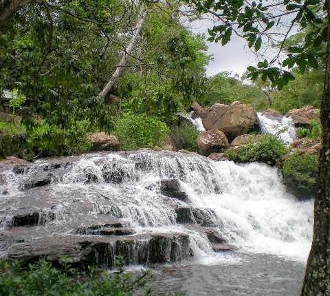 Meio Ambiente, a próxima prioridade na&nbsp;Europa
