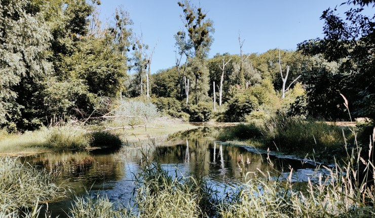 Viena: O Túnel do&nbsp;Lobau