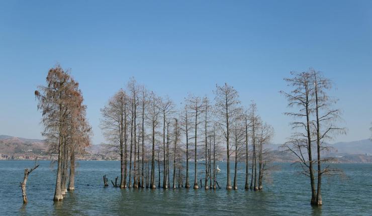 Existem culpados na enchente no Rio Grande do&nbsp;Sul?