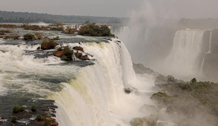 COP 30 Belém: os europeus ainda se interessam pelo meio&nbsp;ambiente?