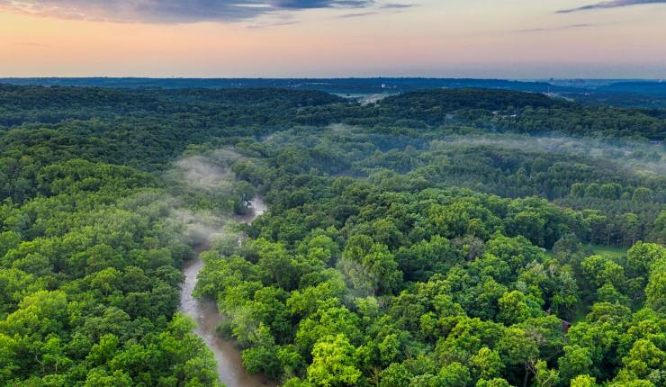 COP30 virou FLOP30: as críticas do PM da&nbsp;Alemanha