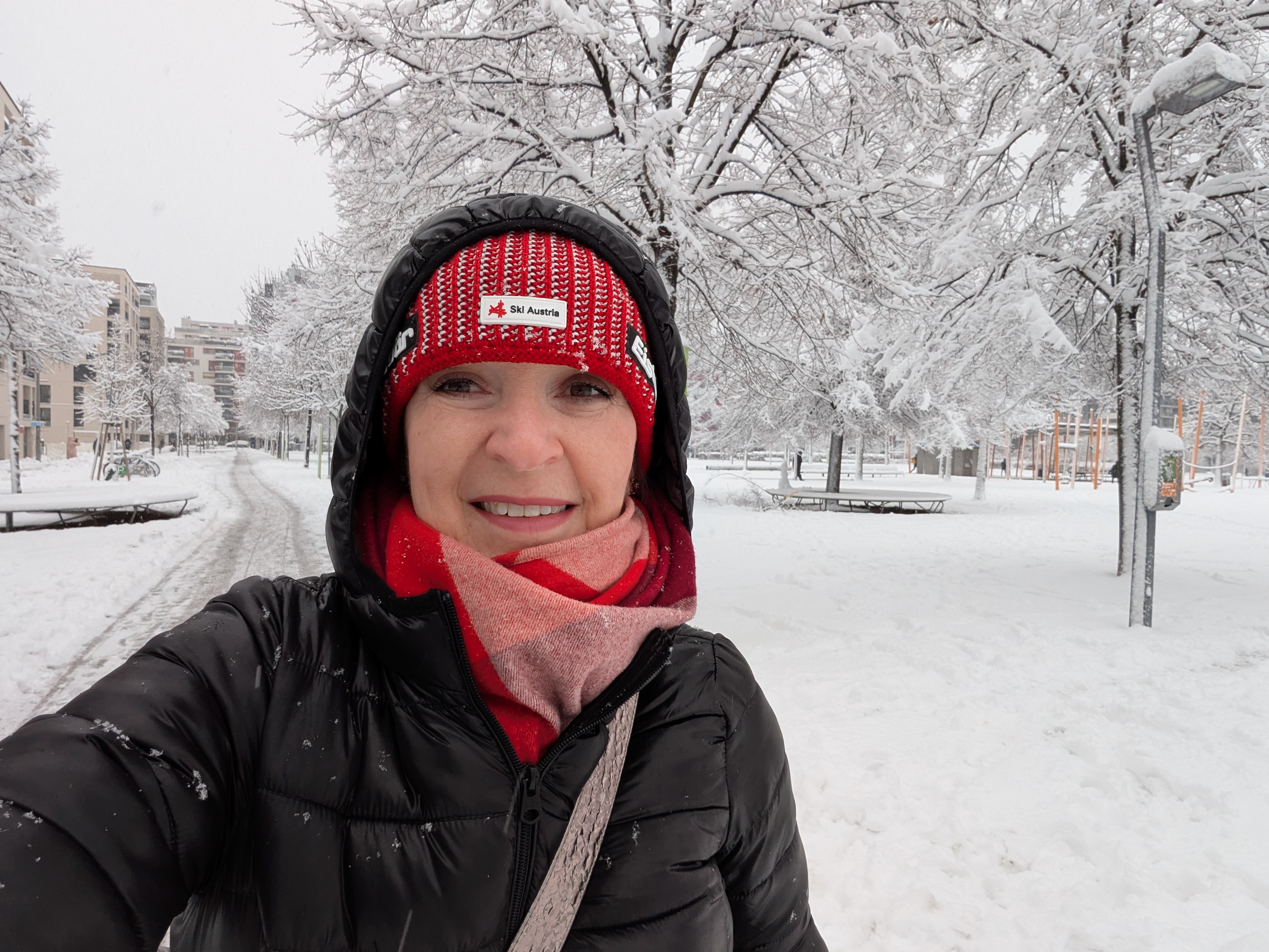 Viena afundada em neve