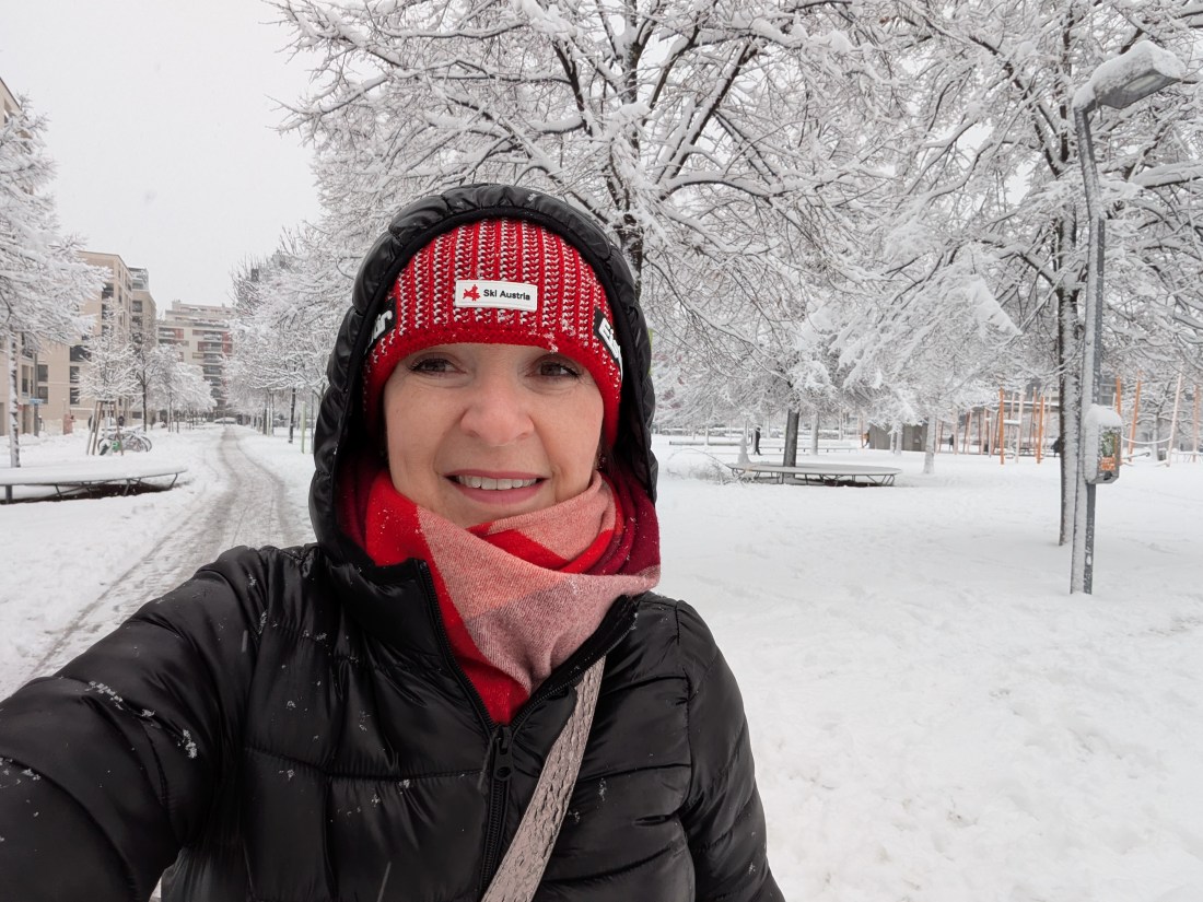 Viena afundada em neve